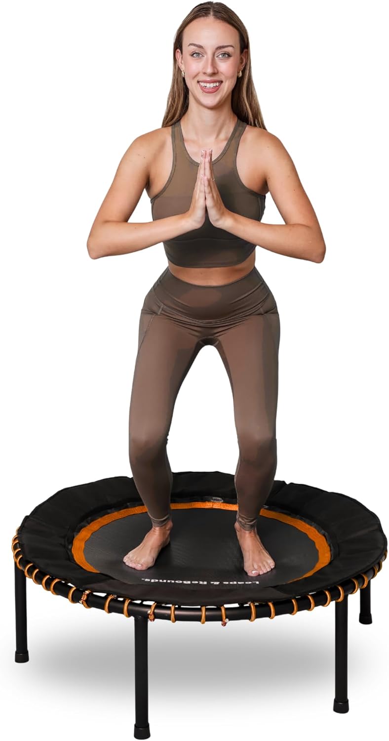 Leaps & Rebounds Rebounder