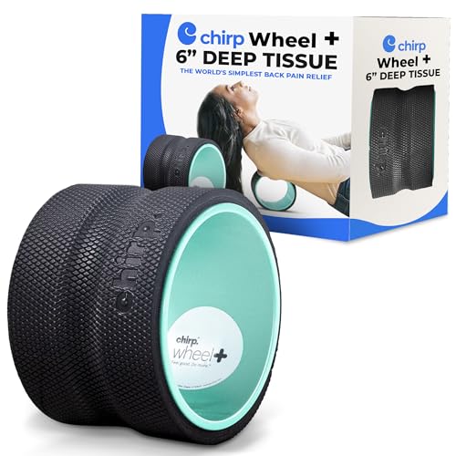 Chirp Wheel Foam Roller  Targeted Back & Neck Relief, Lumbar Spine Stretcher, Spinal Decompression Back Stretcher, Massage Roller with Density Foam for Physical Therapy, Supports 500lbs, 6-Inch Mint