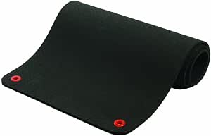 SPRI/Gaiam Hanging Exercise Mat