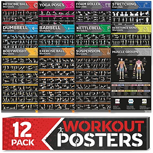 [12-PACK] Laminated Large Workout Poster Set
