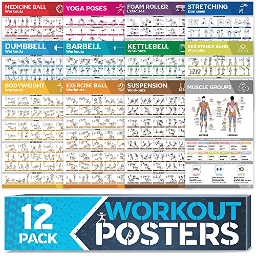 [12-PACK] Laminated Large Workout Poster Set
