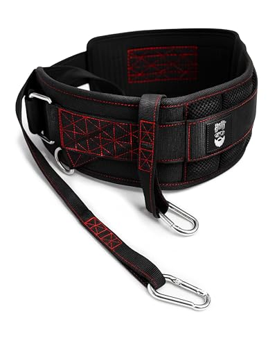 THEFITGUY Ultimate Dip Belt