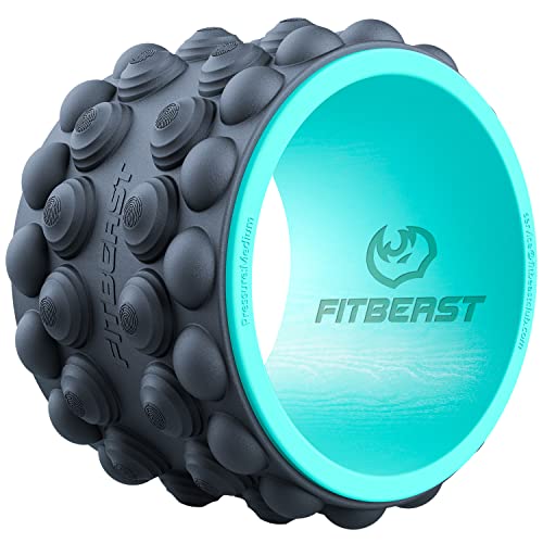 FitBeast Back Roller (9")