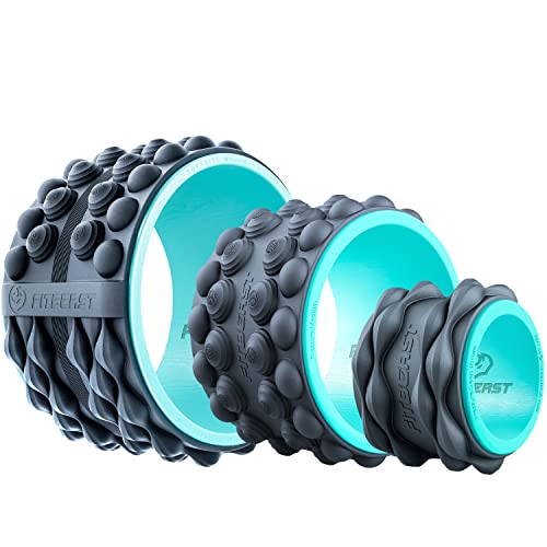 FitBeast Back Roller, Back Wheel Foam Roller