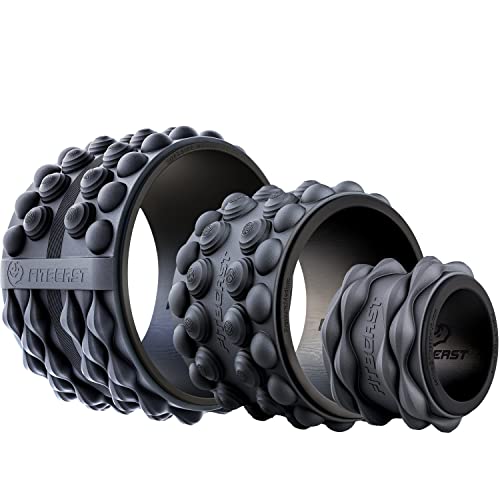 FitBeast Back Roller