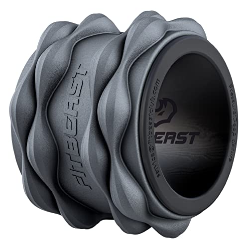 FitBeast Back Roller (Premium)
