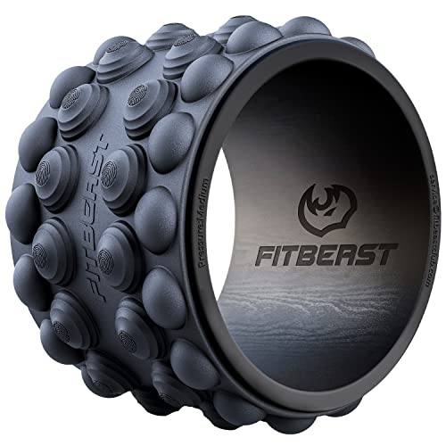 FitBeast Back Roller (9")