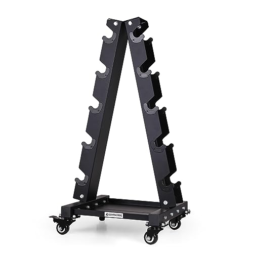 LIONSCOOL A-Frame Rack (700LB)