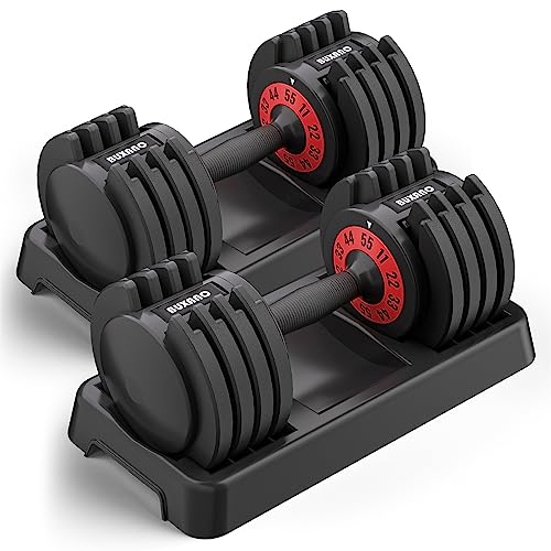 Adjustable Dumbbells 55LB Single Dumbbell Weights, 5 in 1 Free Weights Dumbbell with Anti-Slip Nylon Handle, Ideal for Full-Body Home Gym Workouts