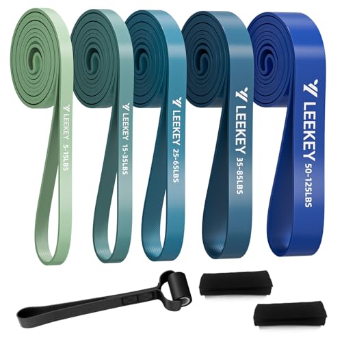 LEEKEY Resistance Bands, Exercise Bands with Handles,Pull Up Assist Bands - Band Set with Door Anchor - Bands for Working Out,Band for Men and Women Fitness Training, Physical Therapy,Home Workouts