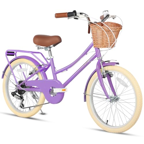 Glerc 20/24/26 Inch Beach Cruiser Bike