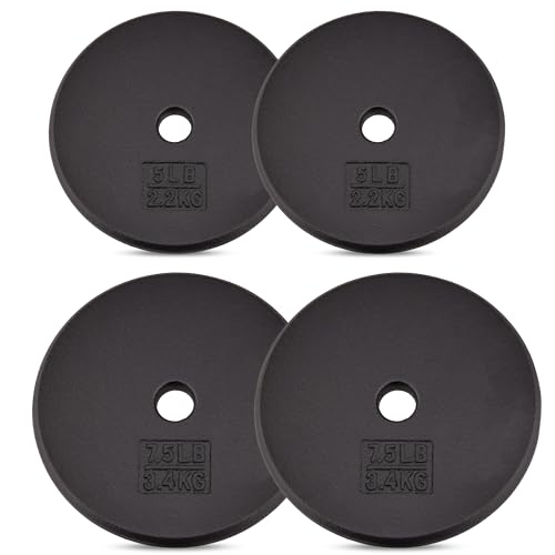 Yes4All Standard 1" Cast Iron Weight Plate