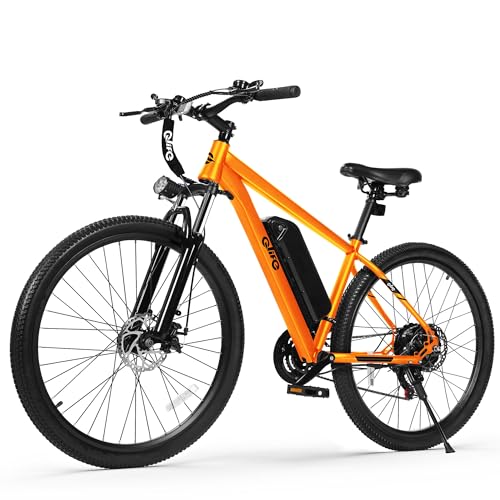 Qlife Racer Electric Bike (Premium)
