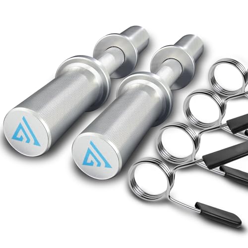 16" Olympic Dumbbell Handle, Dumbbell Bar for 2-inch Olympic Weight Plates, Loadable Dumbbells for Home Gym Strength Training, 2 Pair of Spring Collars Included