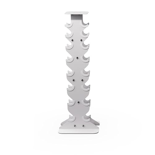 WeGym Dumbbell Rack (Premium)
