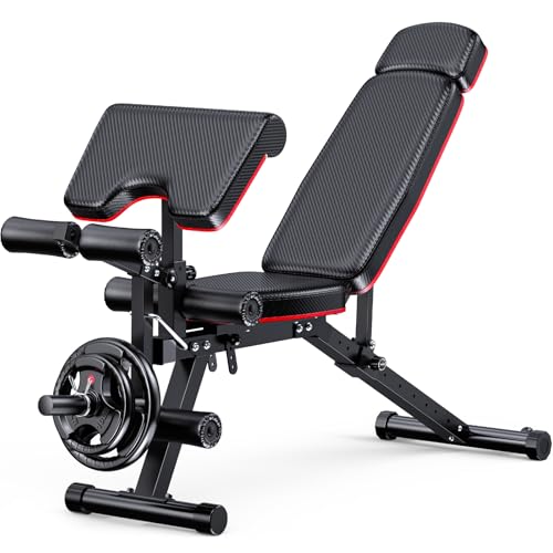 XDDIAS Workout Bench