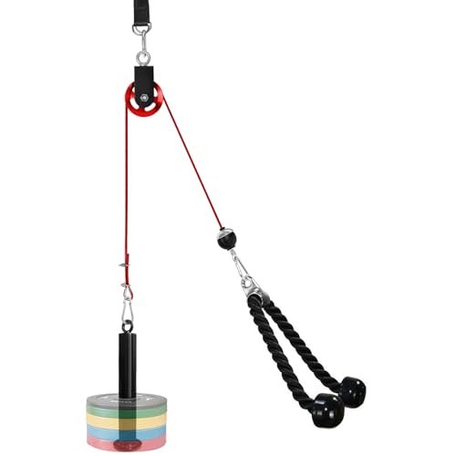 LFJ LAT Pull Down & Lift Pulley System