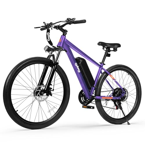 Qlife Racer Electric Bike (Mid-Range)