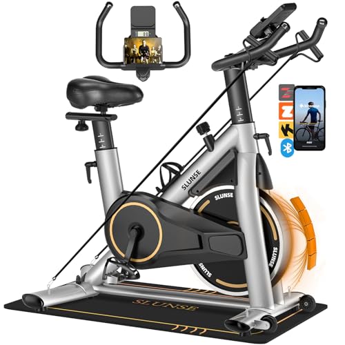 SLUNSE Adjustable Exercise Bike